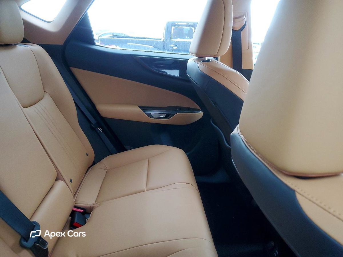 Lexus NX 2025
