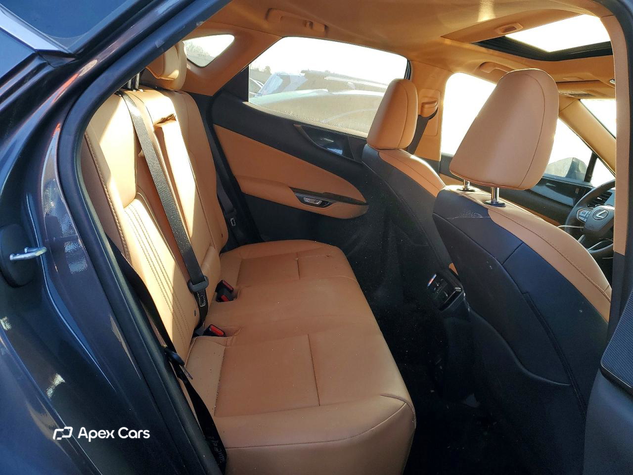 Lexus NX 2024