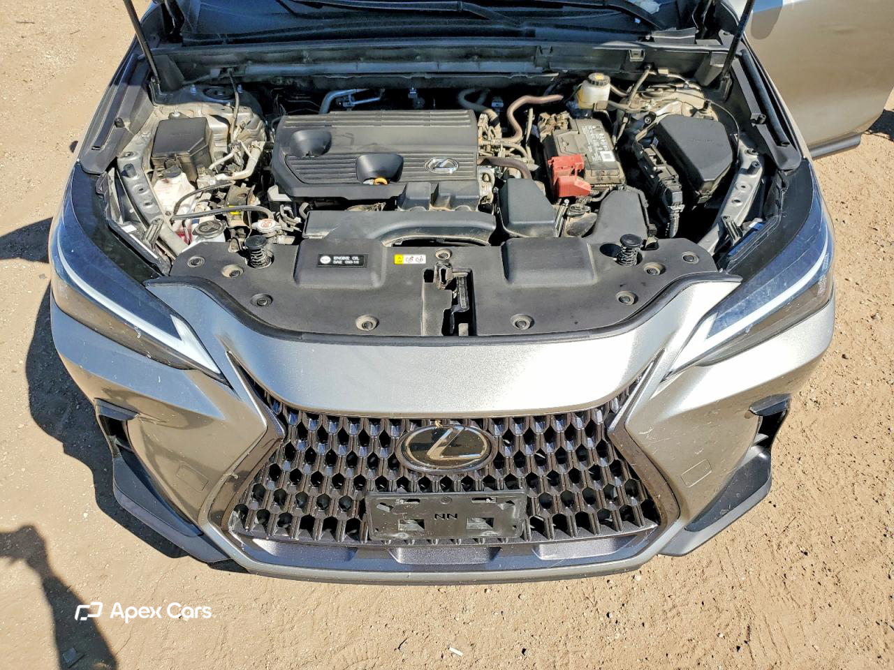 Lexus NX 2024