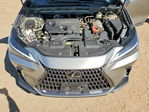 Lexus NX 2024