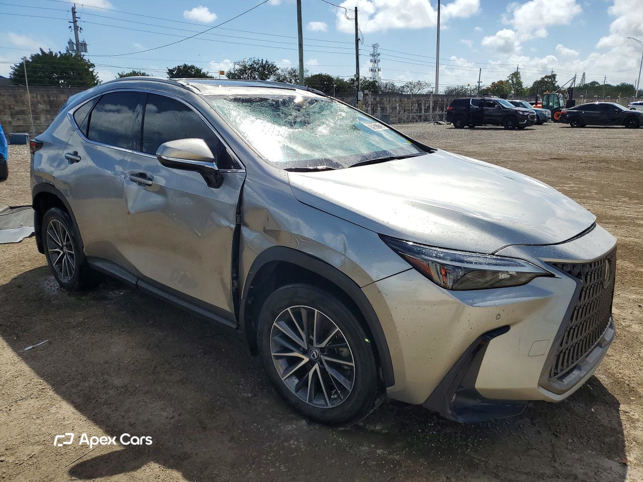 Lexus NX 2022