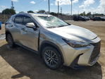 Lexus NX 2022