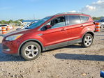 Ford Escape 2016