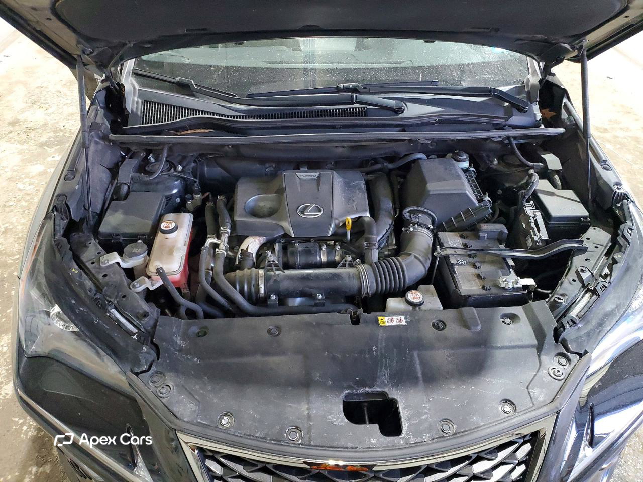 Lexus NX 2021