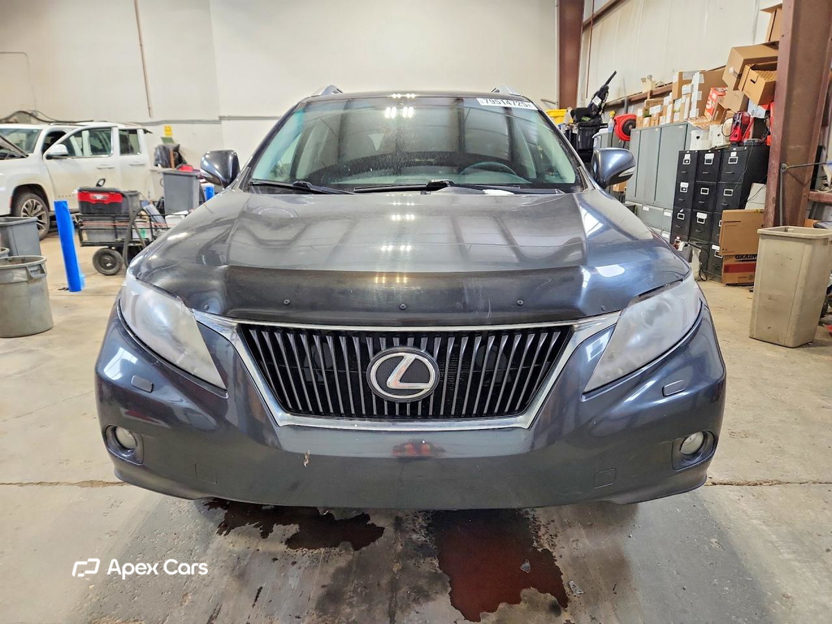 Lexus RX 2010