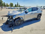 Lexus NX 2022