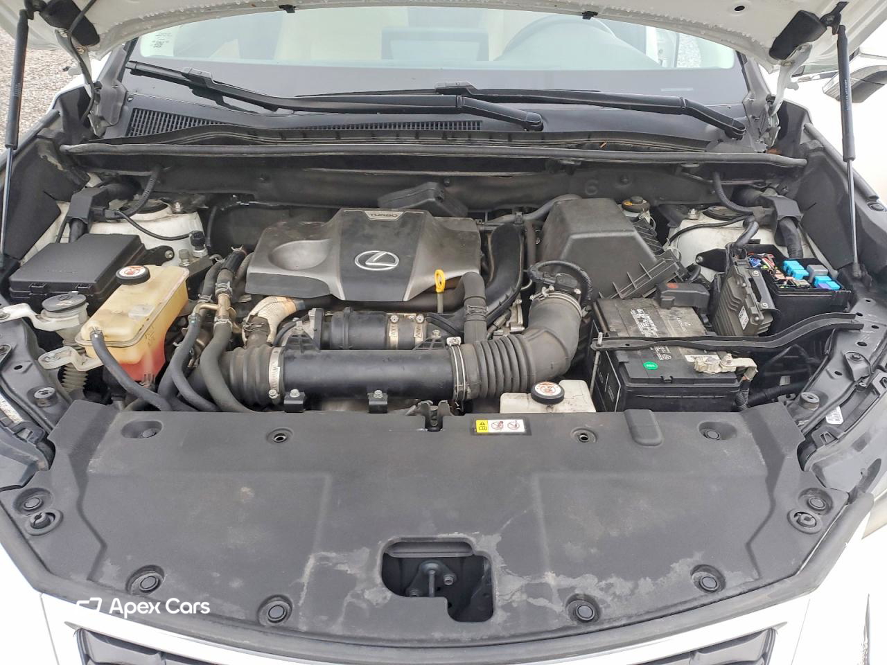 Lexus NX 2020