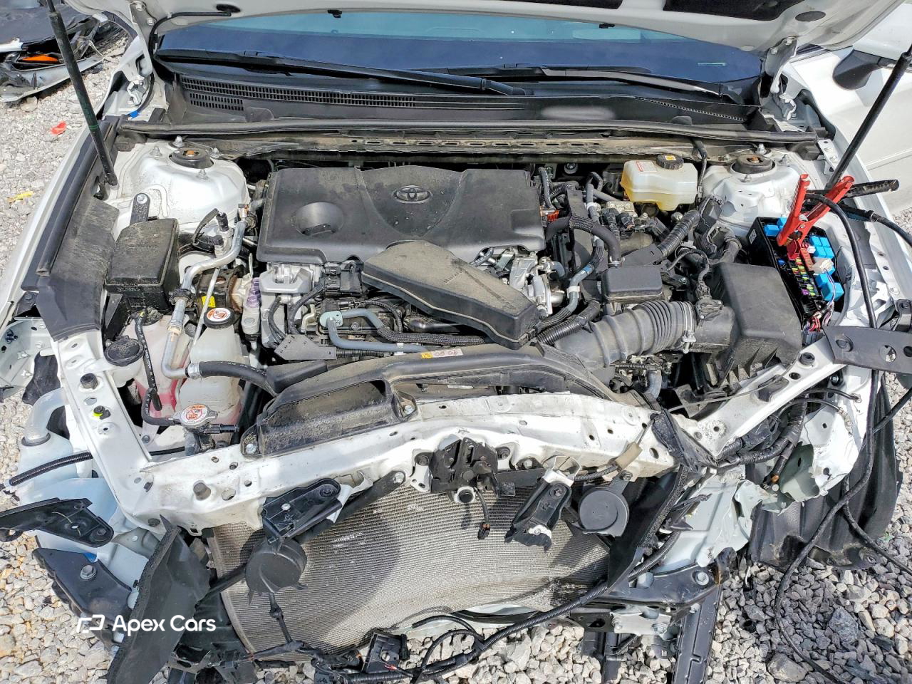 Toyota Avalon 2021