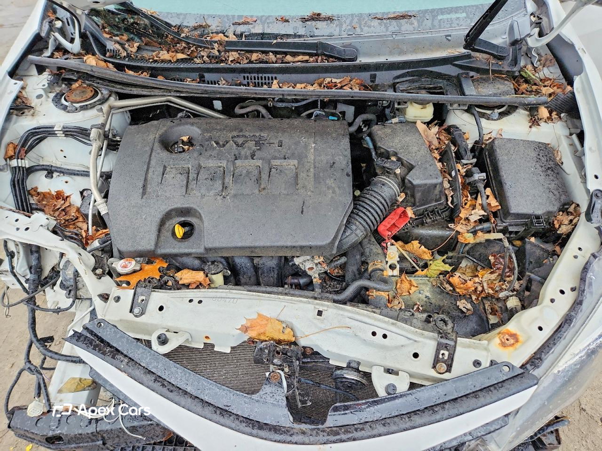 Toyota Corolla 2017