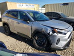 Toyota RAV 4 2025