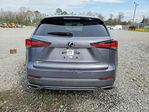 Lexus NX 2020