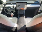 Tesla Model Y 2020