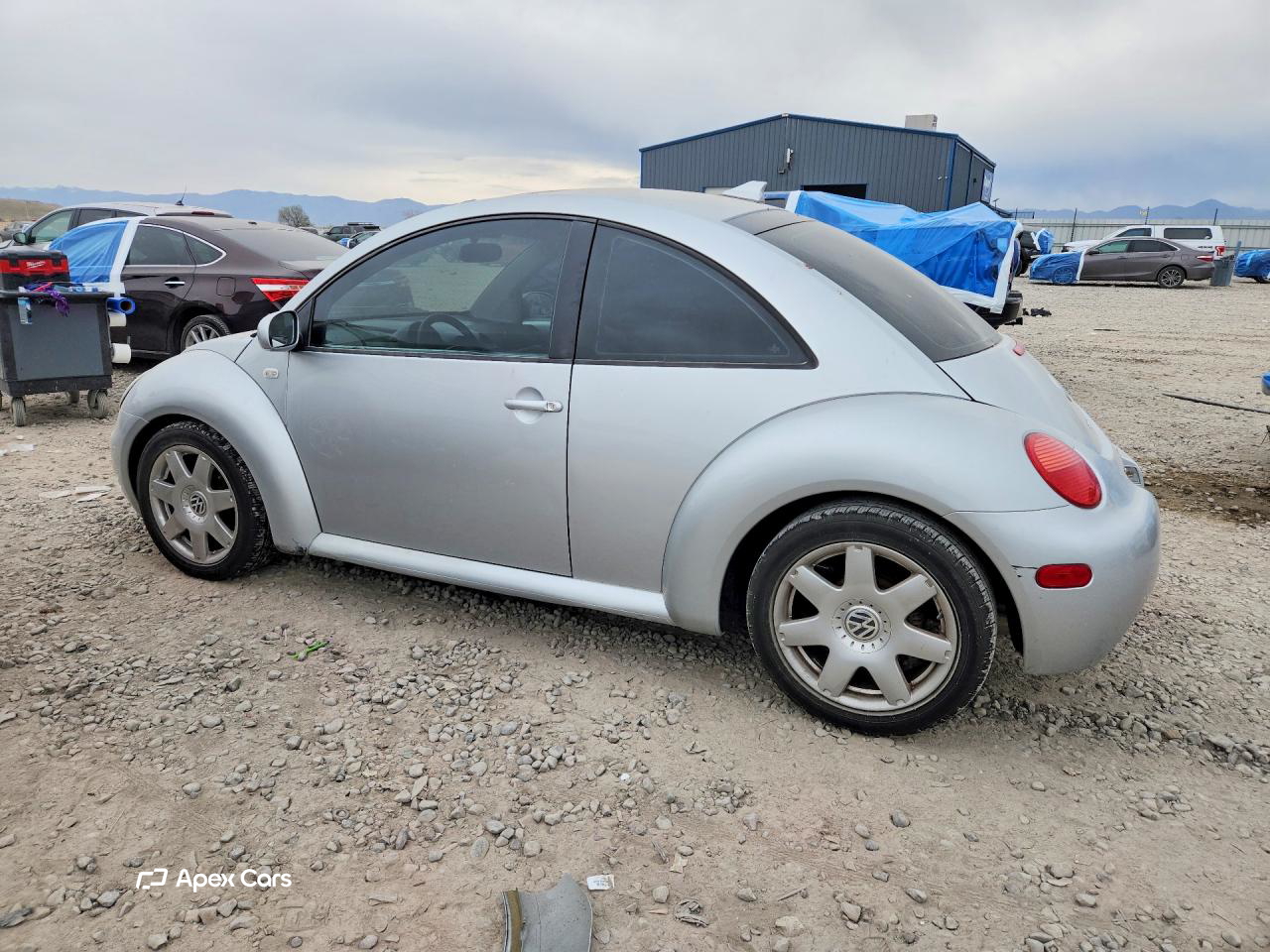 Volkswagen Beetle 2003