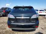 Lexus RX 2010