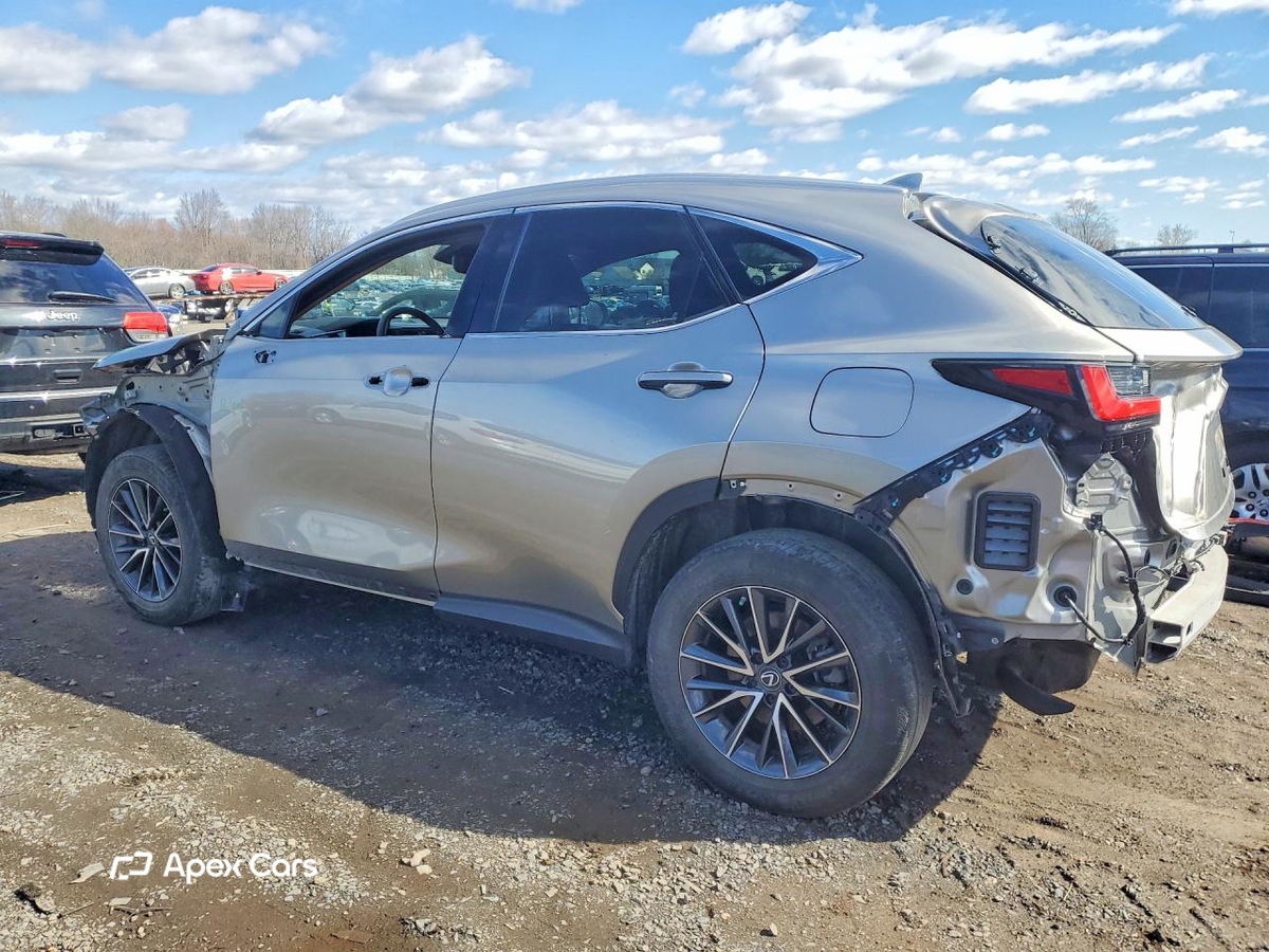 Lexus NX 2022