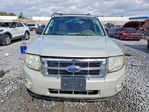 Ford Escape 2009