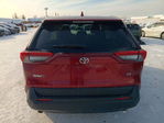 Toyota RAV 4 2024