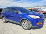 Ford Escape 2013
