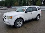 Ford Escape 2009