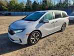 Honda Odyssey 2024