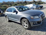 Audi Q5 2013