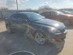 Lexus IS 2007