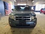 Ford Escape 2010