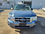 Ford Escape 2011