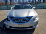 Sonata 2013
