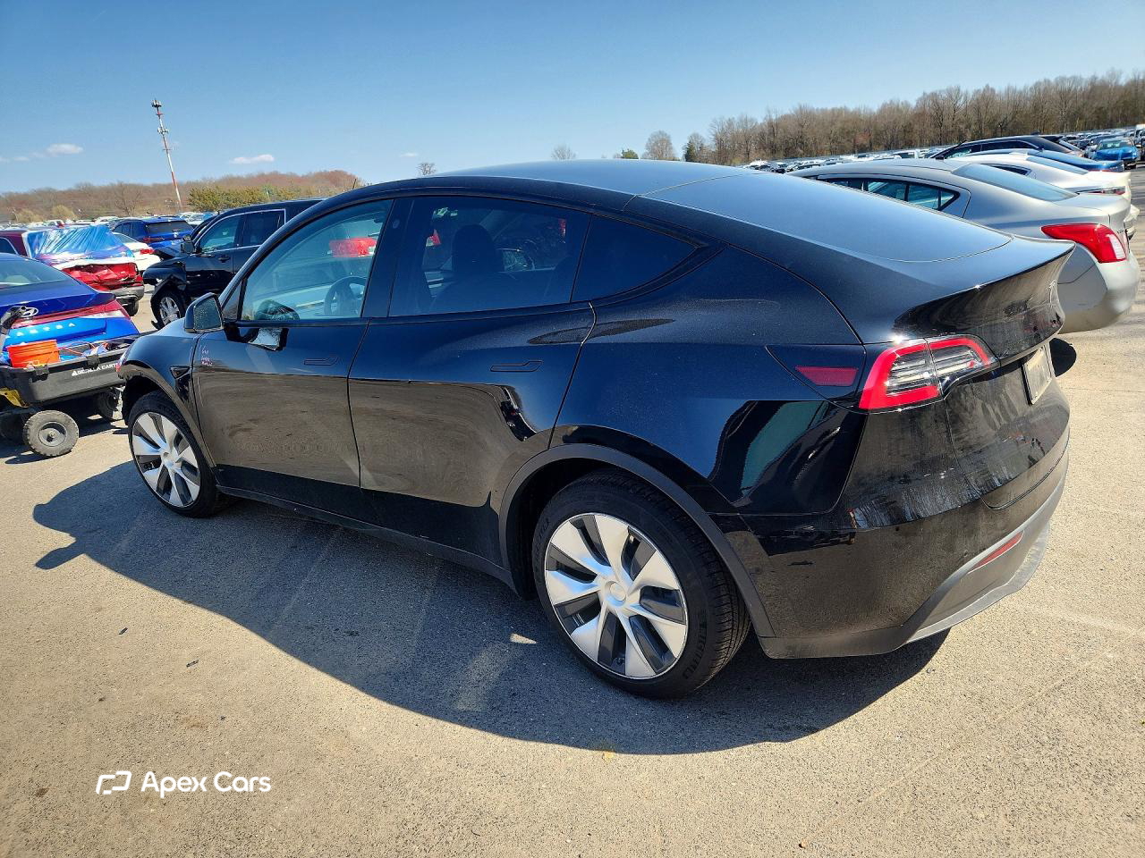 Tesla Model Y 2021
