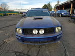 Ford Mustang 2008