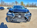 Lexus NX 2016