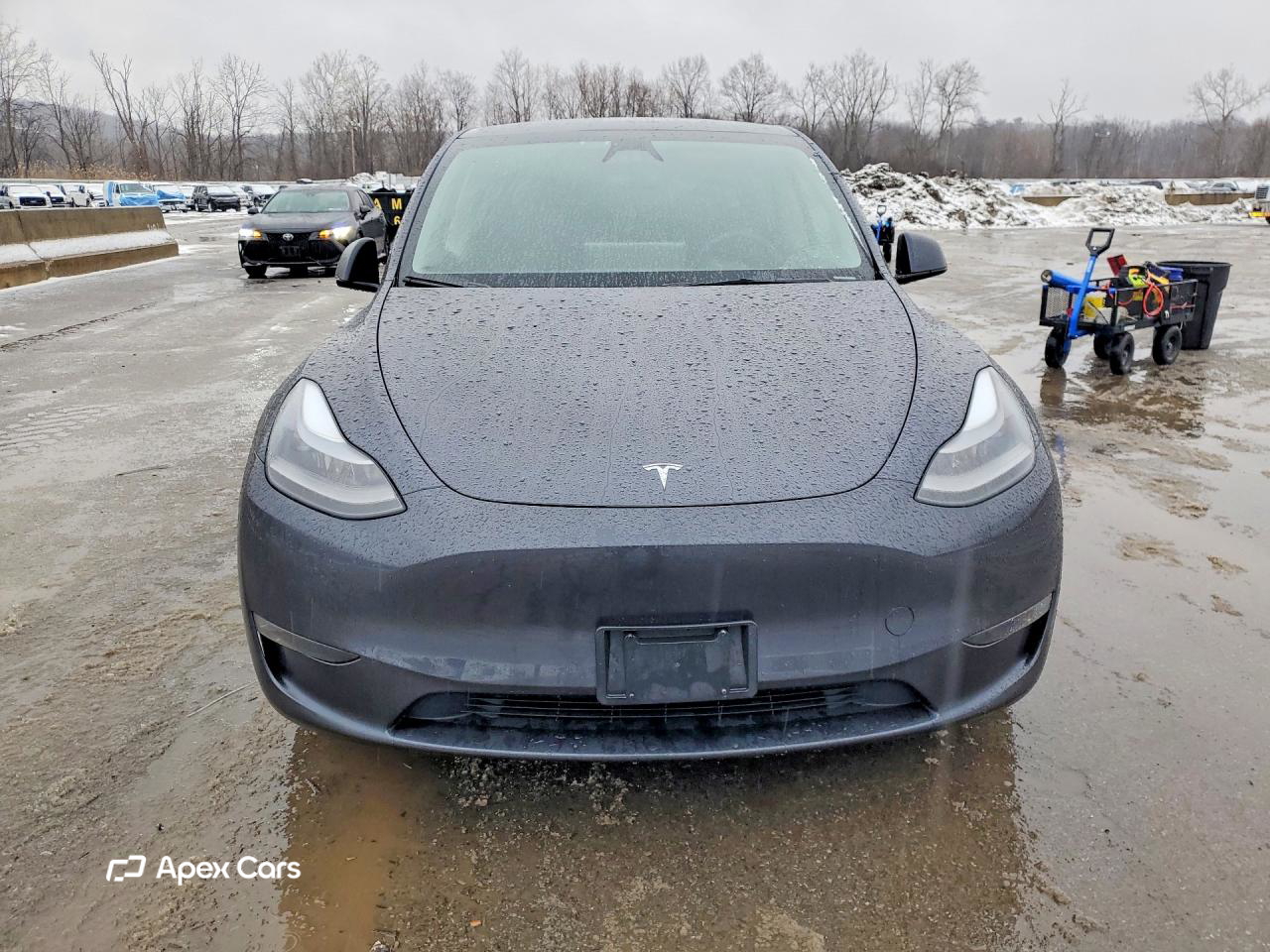 Tesla Model Y 2024