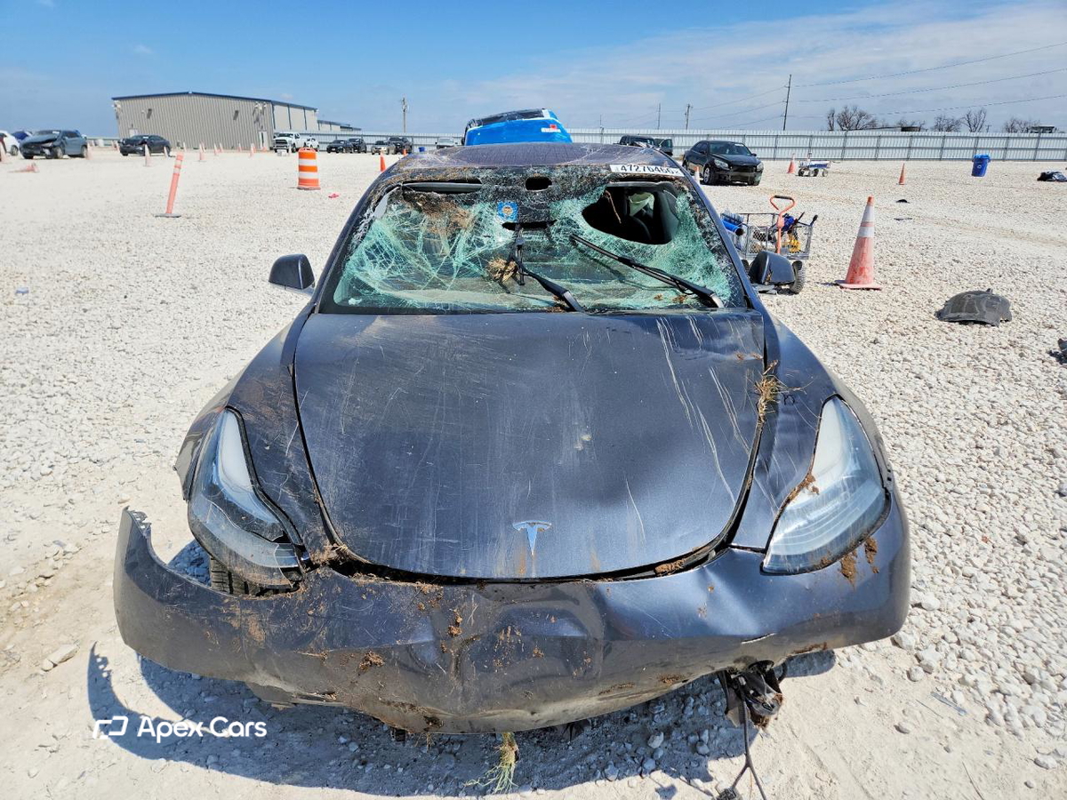 Tesla Model 3 2019