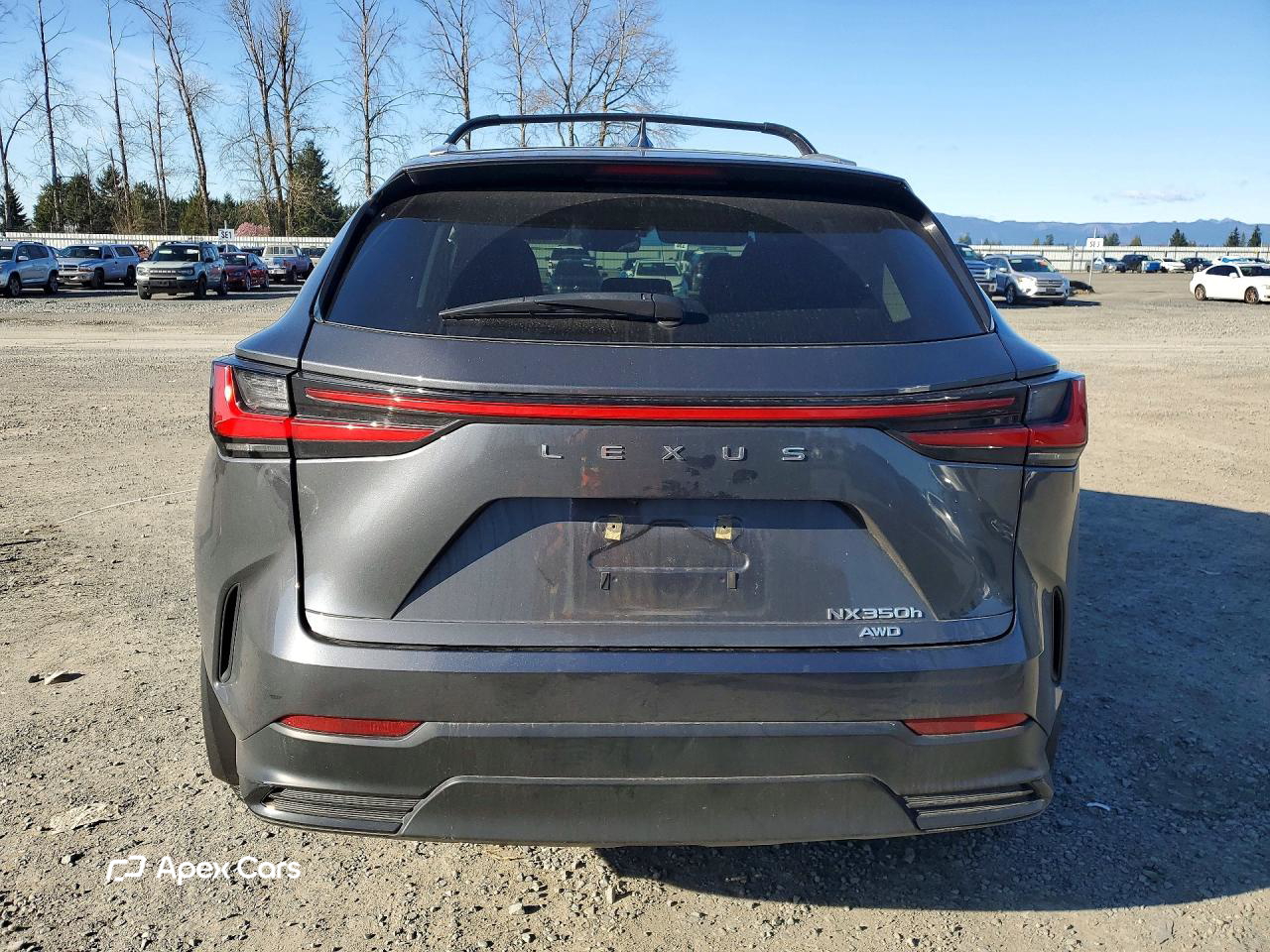 Lexus NX 2024