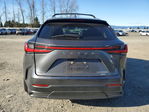 Lexus NX 2024