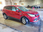 Ford Escape 2014