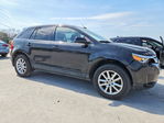 Ford Edge 2013