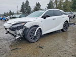 Lexus RX 2024