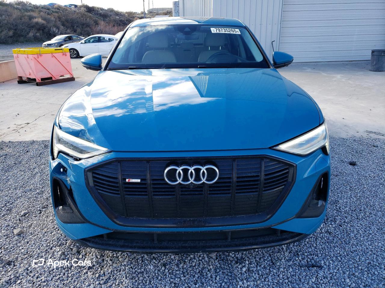 Audi e-tron 2021