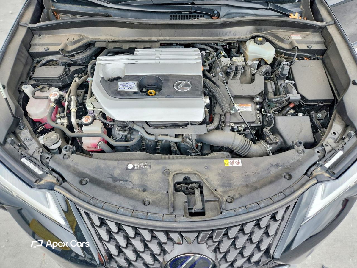 Lexus UX 2020