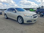 Chevrolet Malibu 2013