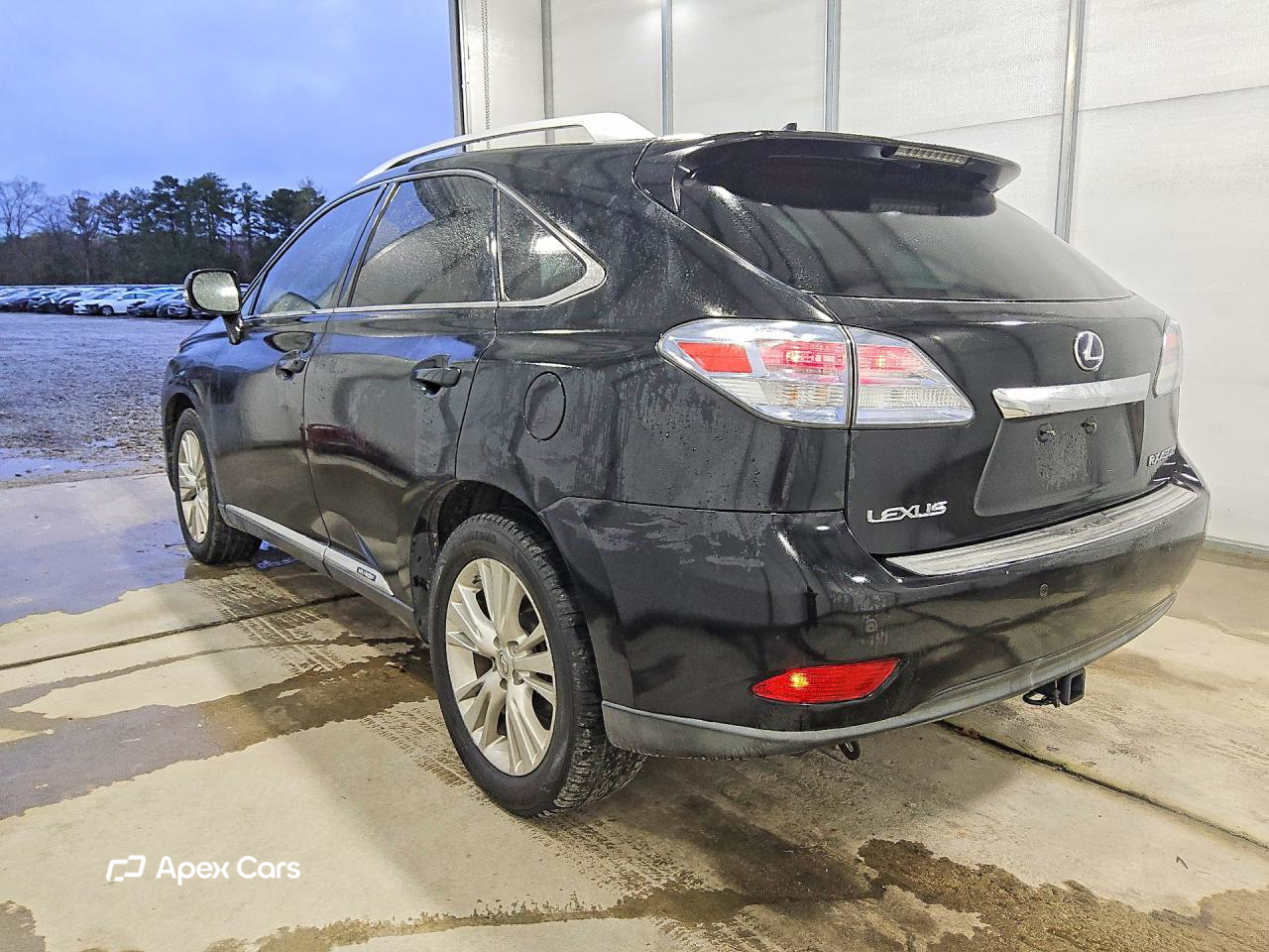 Lexus RX 2010