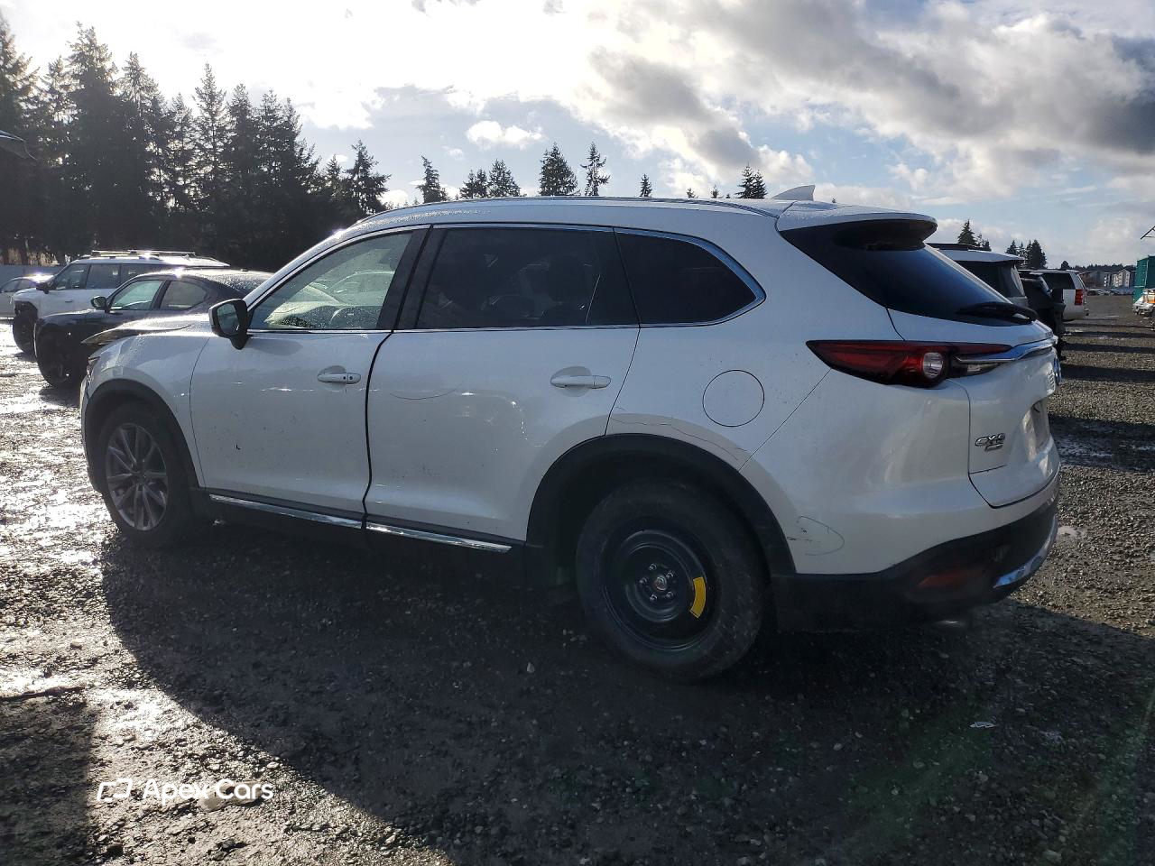 Mazda CX-9 2019
