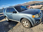 Ford Escape 2010