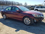 Honda Accord 2013