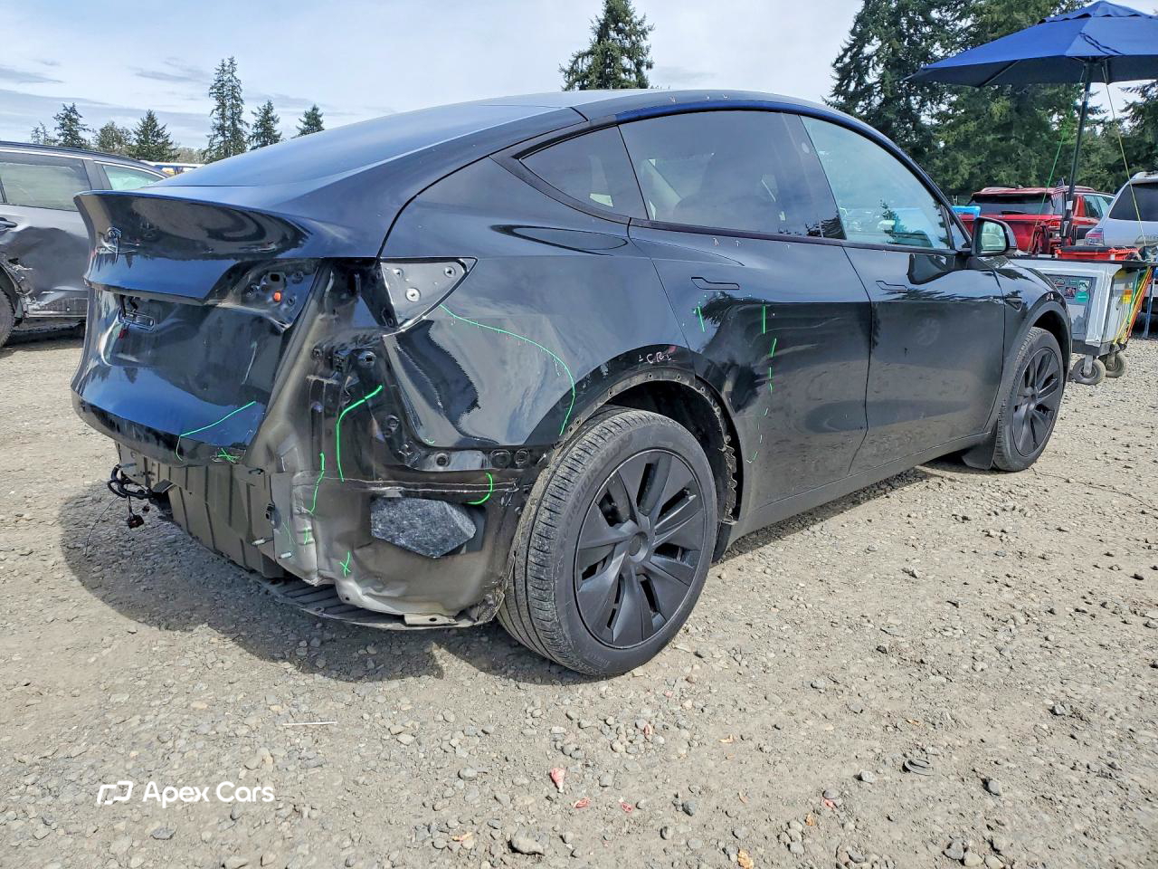 Tesla Model Y 2025