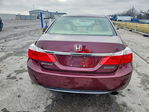 Honda Accord 2013