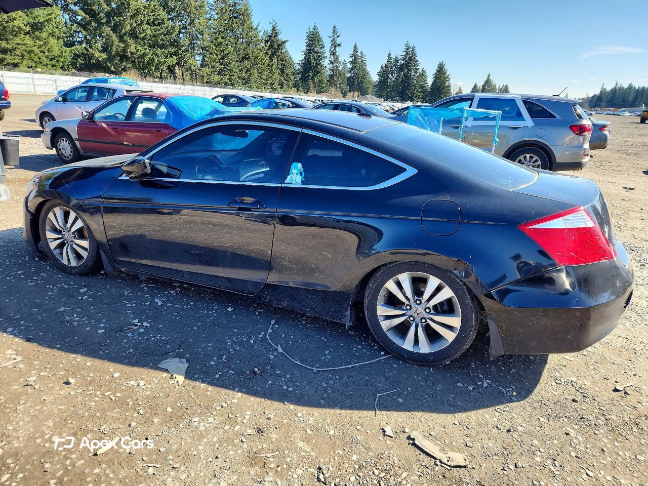 Honda Accord 2009