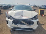 Ford Escape 2023